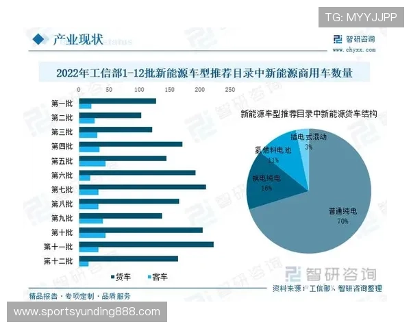 关于3118云顶集团的经营模式及核心业务领域的全面介绍与分析 关于3118云顶集团的经营模式及核心业务领域的全面介绍与分析