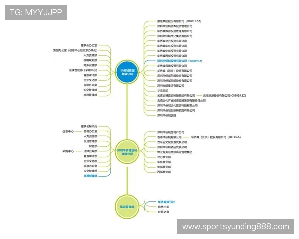 新云顶国际集团澳门有限公司最新动态与未来投资规划全景解读